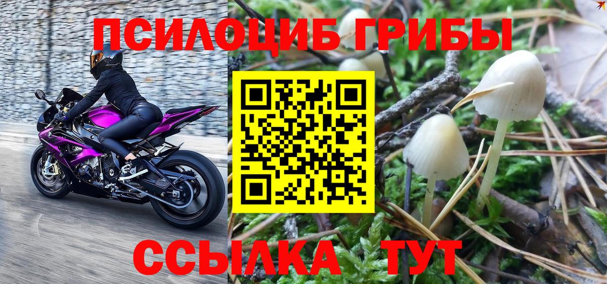 Галлюциногенные грибы прущие грибы Дюртюли